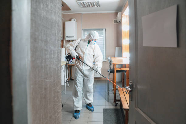 Best Mold Odor Removal Services  in South Highpoint, FL