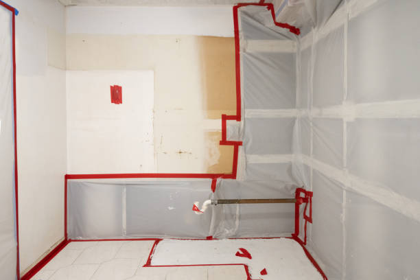 Best Residential Mold Inspection & Testing  in South Highpoint, FL