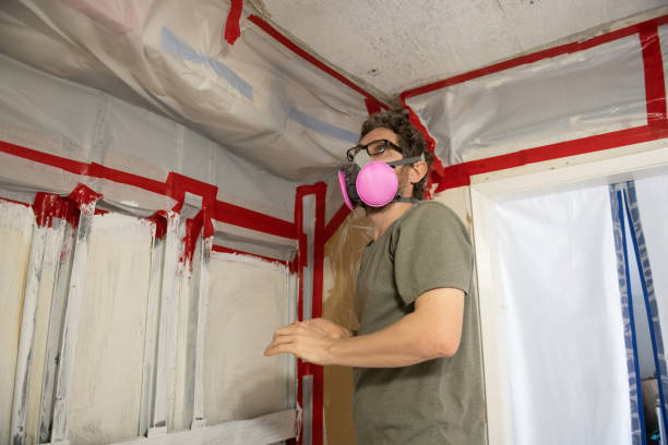 Best Mold Remediation for Vacation Homes  in South Highpoint, FL