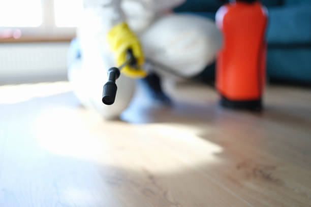 Best Mold Documentation for Insurance Claims  in South Highpoint, FL