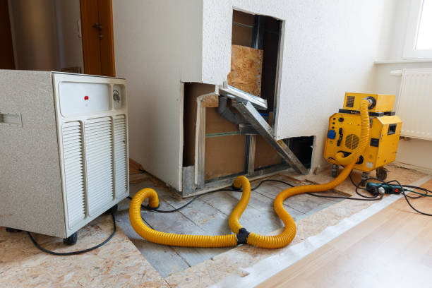 Mold Remediation for Rental Properties in South Highpoint, FL