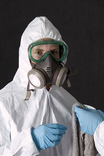 Best Commercial Mold Inspection  in South Highpoint, FL